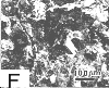 carburized surface of McQuaid-Ehn specimen
