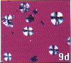 graphite nodules 250x